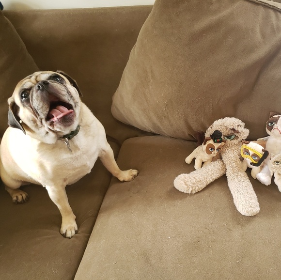 Meet your Posher, Brandi - Picture 3 of 4